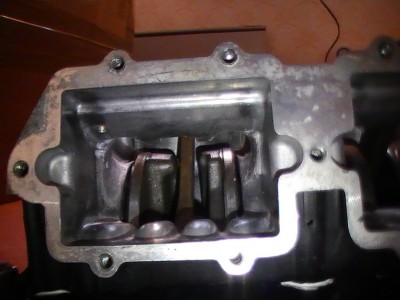 Insug.JPG